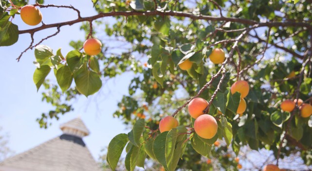 Speed Is Not Critical When Investing