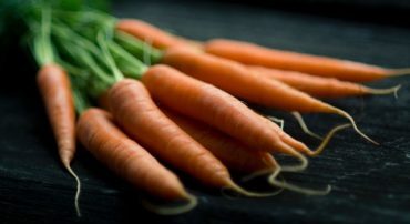 Atkins Investing Part 1: Low-Carb Trend Has Caused Some Companies to Lose Weight