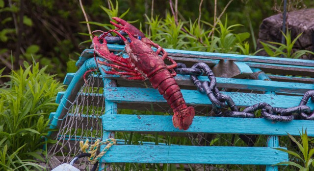 Immediate Fixed Annuities Part 1 - Immediate Fixed Annuities Aren't Really "Fixed"