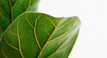 Socially Responsible Investing