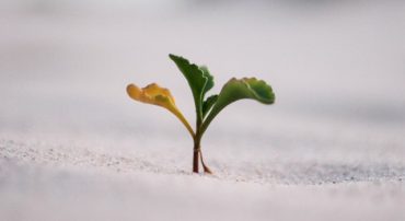 George Marotta: What Is A Contrarian?