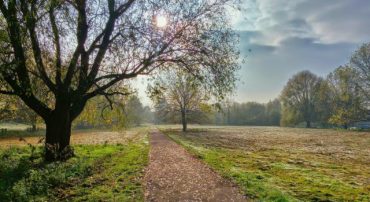 Roth IRA vs. the Traditional IRA