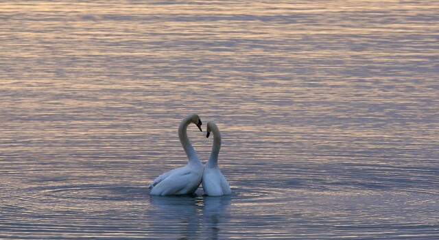 Life Insurance: Determining Your Need