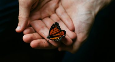 Social Security 3: Delay Filing for Younger Wives and Homemakers