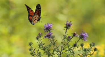 Social Security 1: Planning Is Crucial