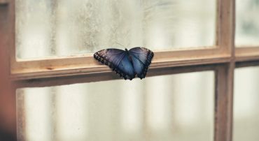 Social Security 2: File Early If You Plan to Die Young