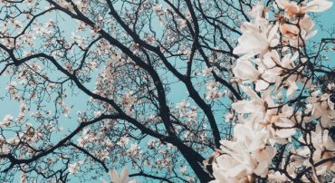 Should You “Sell In May And Stay Away”?