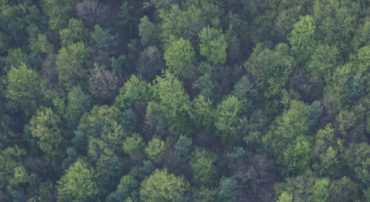 Virginia Land Preservation Tax Credits
