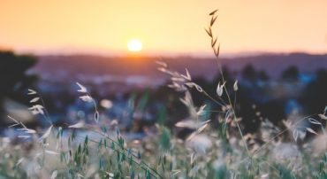 Should I Buy Land Preservation Tax Credits?