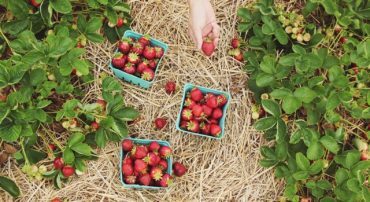 Getting The Most From Your 401(k) Or 403(b)