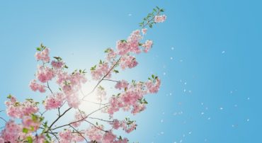 Should You ‘”Sell In May And Stay Away”? Revisited