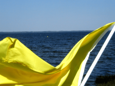 Yellow Flag Bay