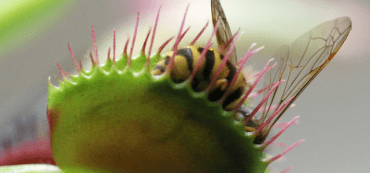 Retirement Plans’ Perilous Future