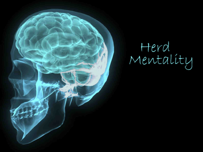 Brain Scan Herd Mentality