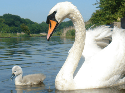 Learning to Live on Your Own, Part 1