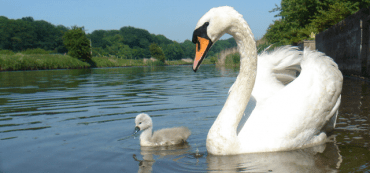 #TBT Learning to Live on Your Own