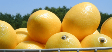 Stop Telling Yourself These Three Financial Lies