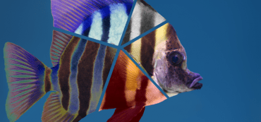Marotta’s 2013 Gone-Fishing Portfolio Calculator
