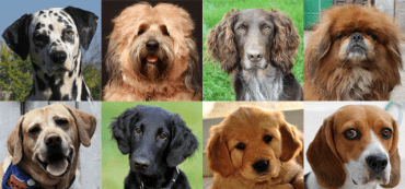 What Equality Should We Seek in Society?