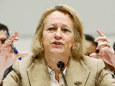 Mary Shapiro