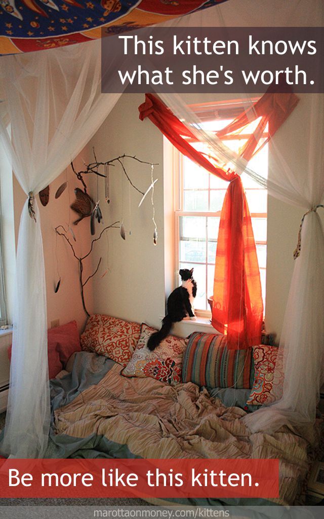 This kitten knows what she's worth.