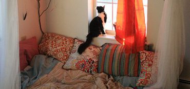 Financially Savvy Kittens on Net Worth