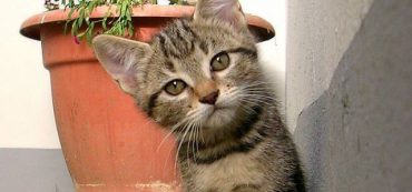 Welfare Prevention Is Financial Planning