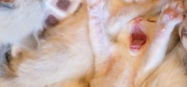 How to Save for College