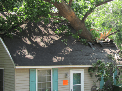 Should We Write a Blank Check to Emergency Relief?