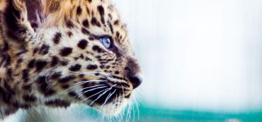 Four Reasons You Are Afraid of Investing