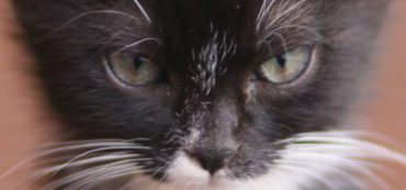 Help Recent Graduates Find a Fulfilling Career