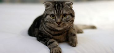 Five Easy Ways To Save