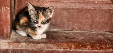 Getting Started with Financial Planning: Step One