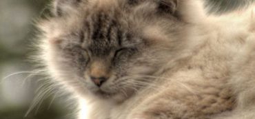 Budgeting: A Lesson In Alternative Currencies