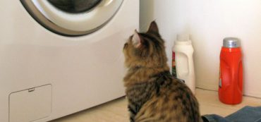 Do You Know What Your Appliances Cost You?