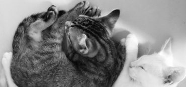 One Successful Way To Find Happiness