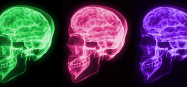 Recent Market Advances Fail to Overcome Mental Accounting