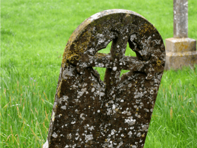 The Cost Matters Hypothesis Wins Again