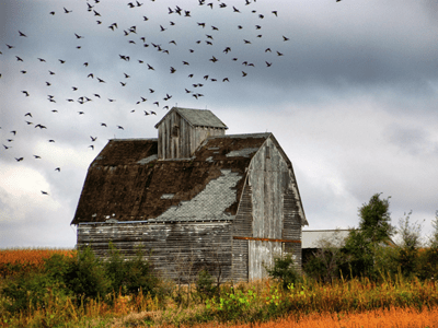 Estate Planning is More Than Just a Will: 3 Essential Documents You Should Have Estate Planning is More Than Just a Will: 3 Essential Documents You Should Have