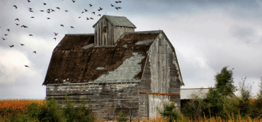 Estate Planning is More Than Just a Will: 3 Essential Documents You Should Have