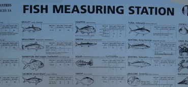 Marotta’s 2014 Gone-Fishing Portfolio Review