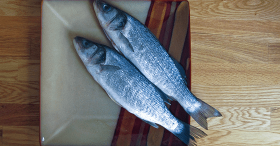 Marotta's 2015 Gone-Fishing Portfolio Calculator