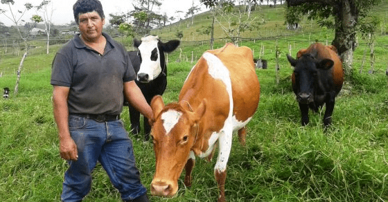 Kiva: Loans that change lives