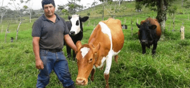 Microfinance: Loans That Change Lives