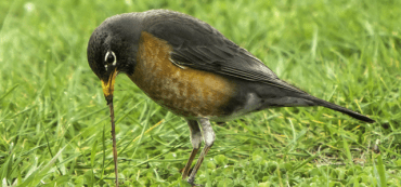 Video: Virginia’s Neighborhood Assistance Program Tax Credits