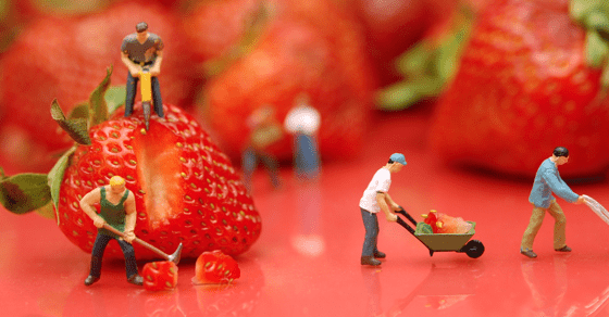 Berry Hard Work