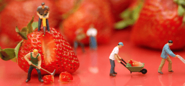 The Wealth Of Nations Is Their Freedom