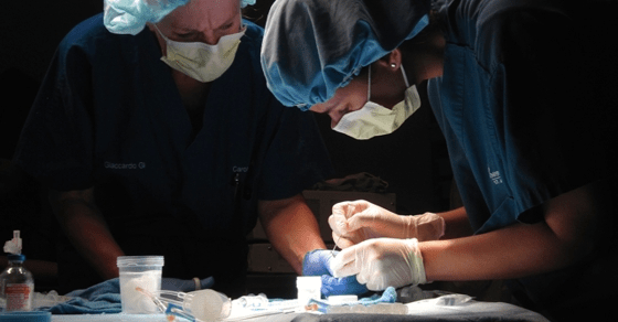 Doctors at work Doctors at work