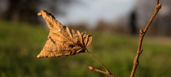 Radio: Parts of the Government Should be Shut Down Radio: Parts of the Government Should be Shut Down