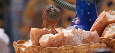 Guess What Statistic Has The Highest Correlation With The S&P 500?